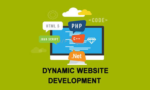 Dynamic Web - Digital Marketing